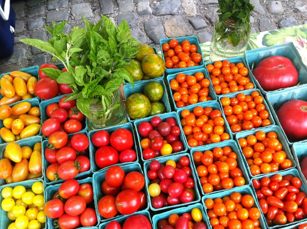 Gmo seeds- are they safe